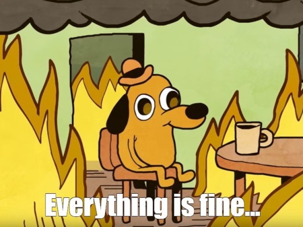 Our Ovaries and Penises Are Breaking Down. Could This be a Sign of Larger&nbsp;Problems?