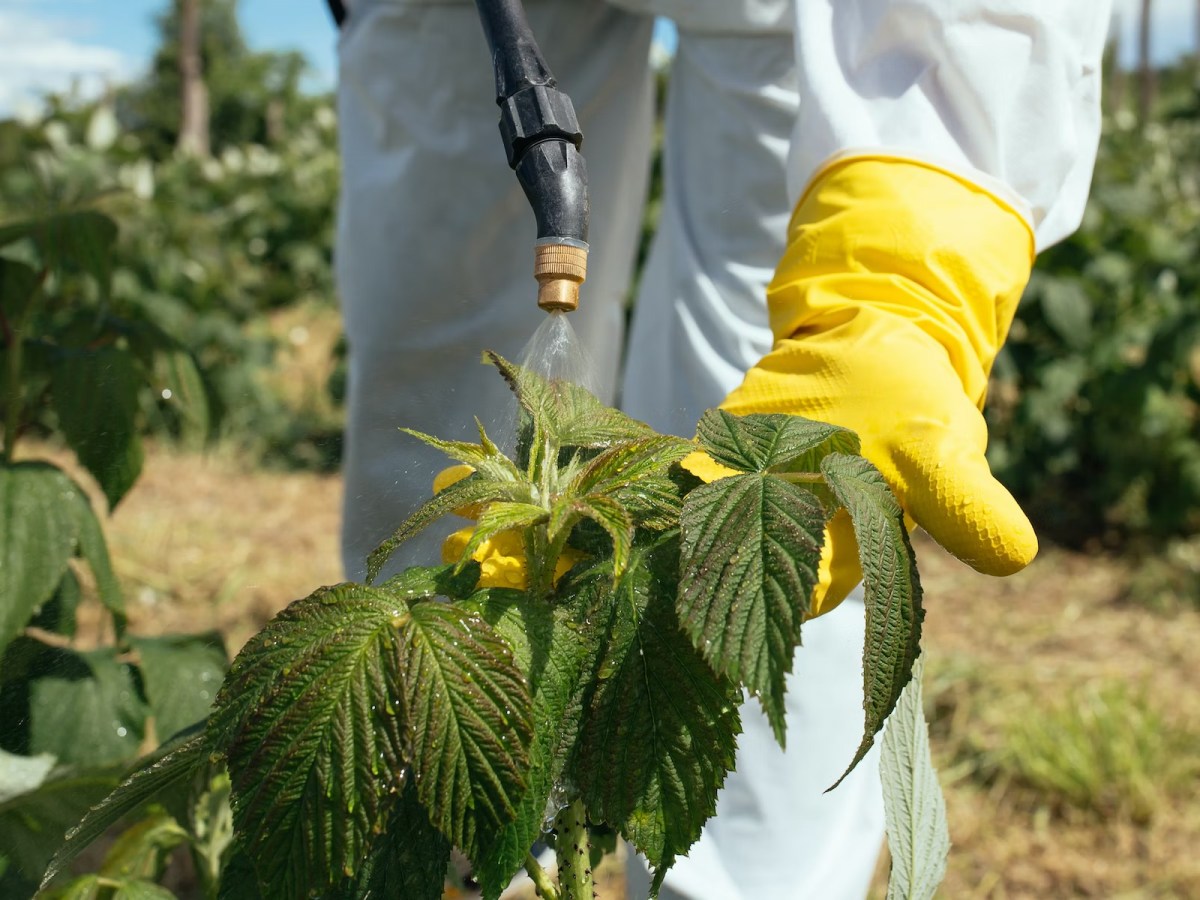 Protect Your Bacteria